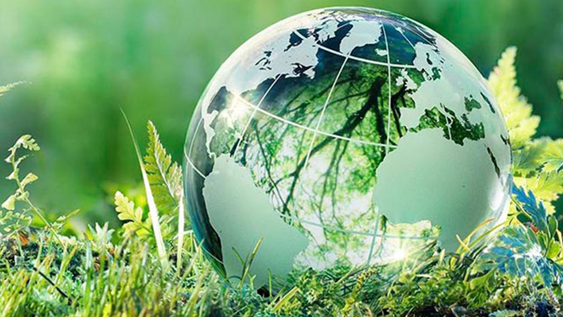 Nature themed globe