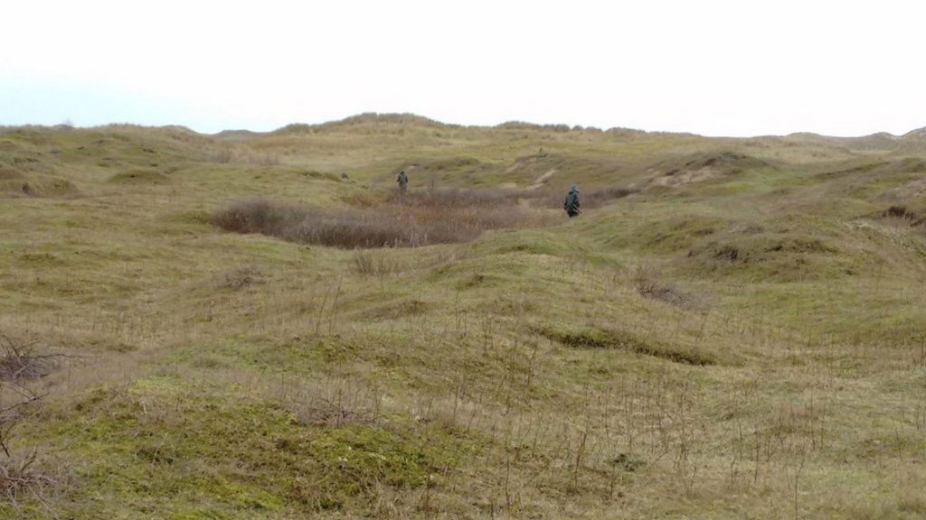 Beach sand dunes