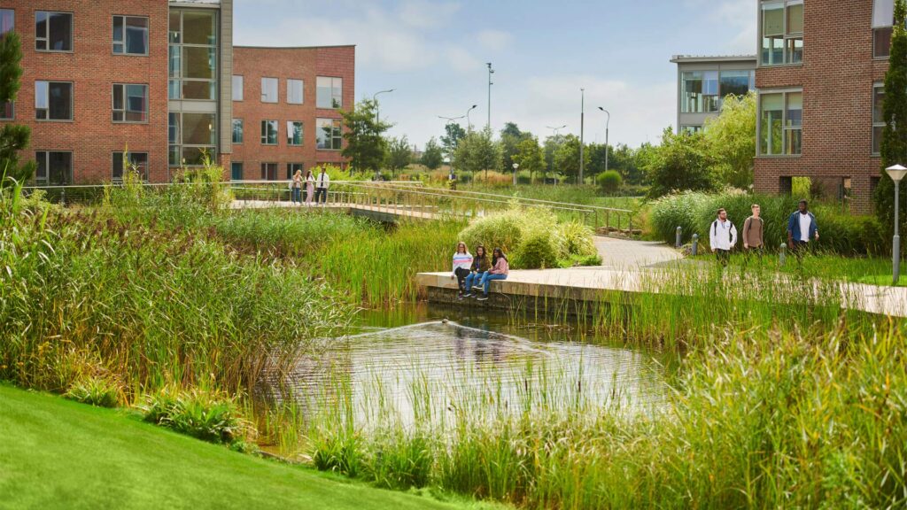 Students on sat by a campus lake near Chancellors Court