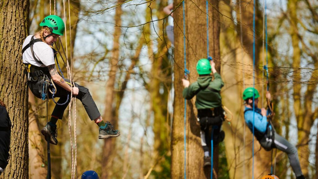 Image of students on Biology field trip. Three students are canopy climbing.