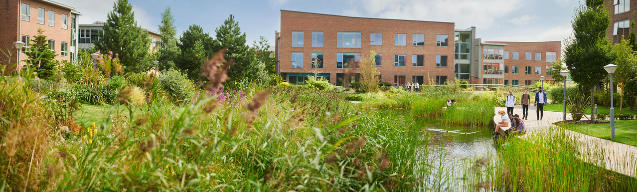 4 students sitting lakeside together by accommodation buildings. There are other students walking past and students in the background looking across campus from the bridge.