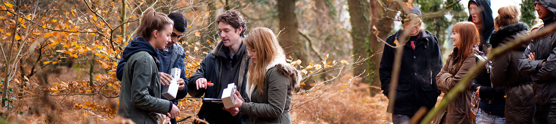 Biology students on fieldwork in the woods