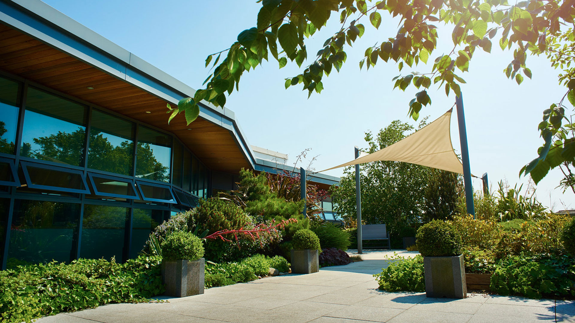 Business School rooftop garden on a sunny day