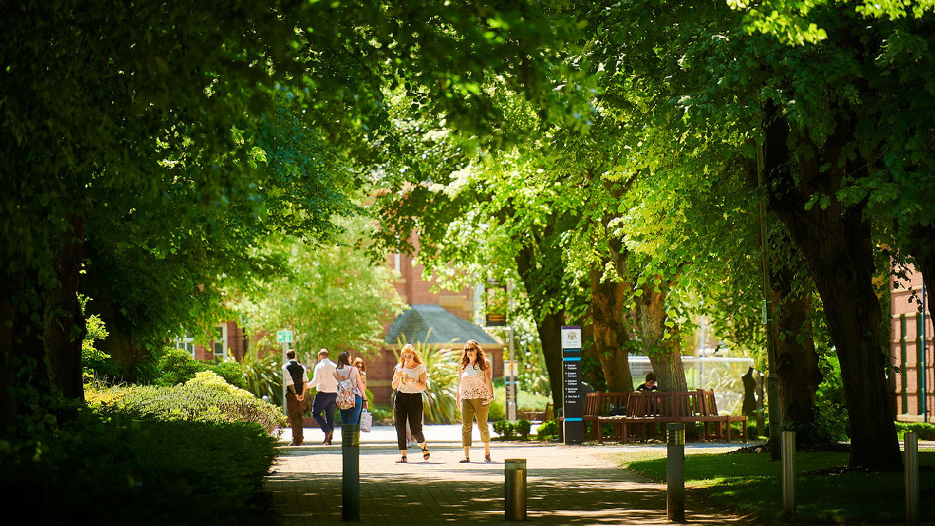 People walking through campus. There are leafy trees framing the image, with highlights of the sun peaking through onto the people.