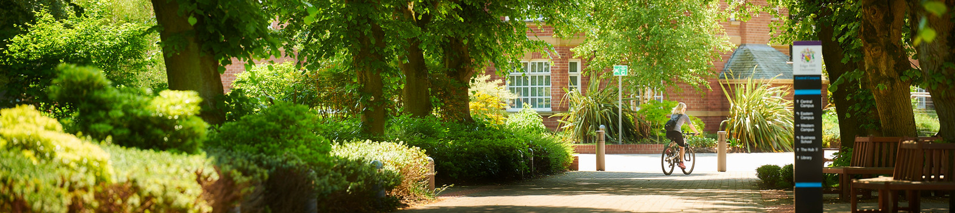 Person cycling through campus in summer