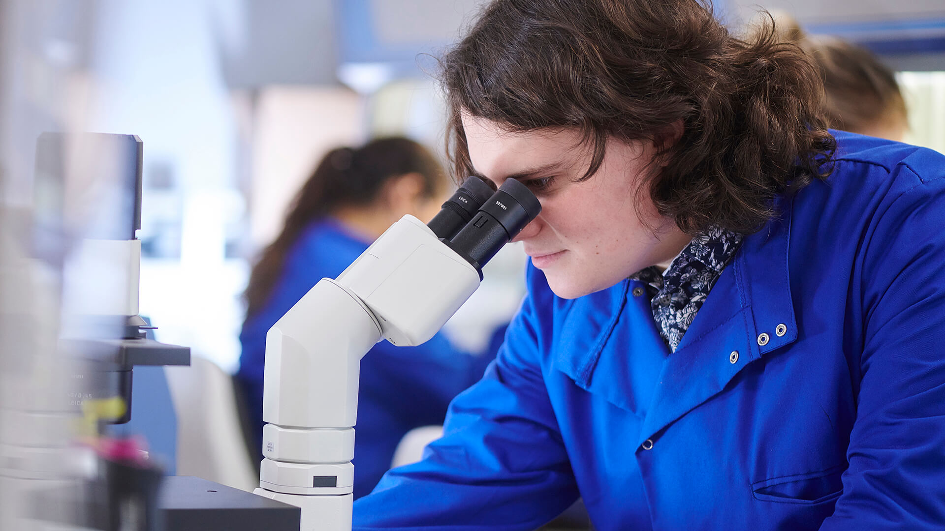 A student examines cells through an inverted microscope.