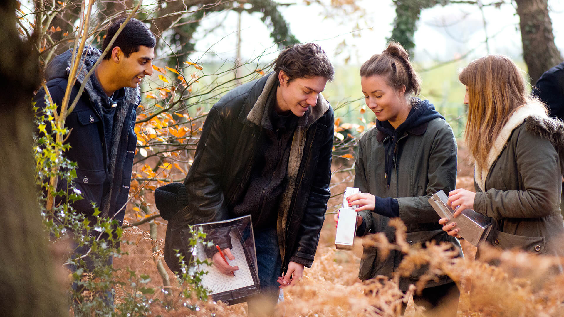 Four students conduct fieldwork in woodland near the University.