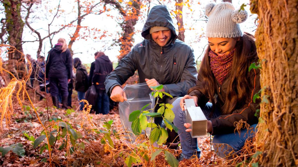 Students conduct a small mammal trapping during fieldwork in woodland near the University.