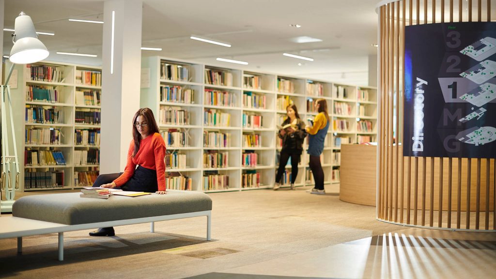 A student reads through a file of work while sitting in the library.