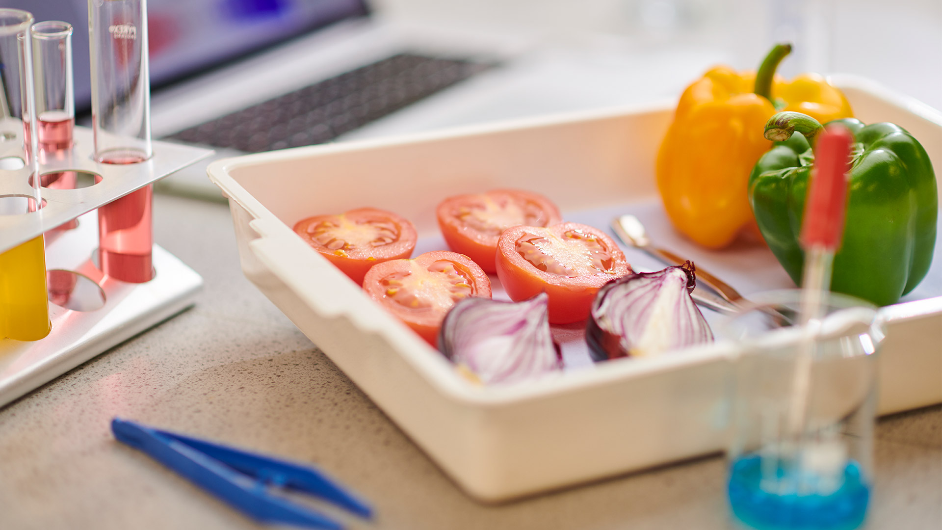 Vegetables laid out on a plastic tray with lab equipment around it