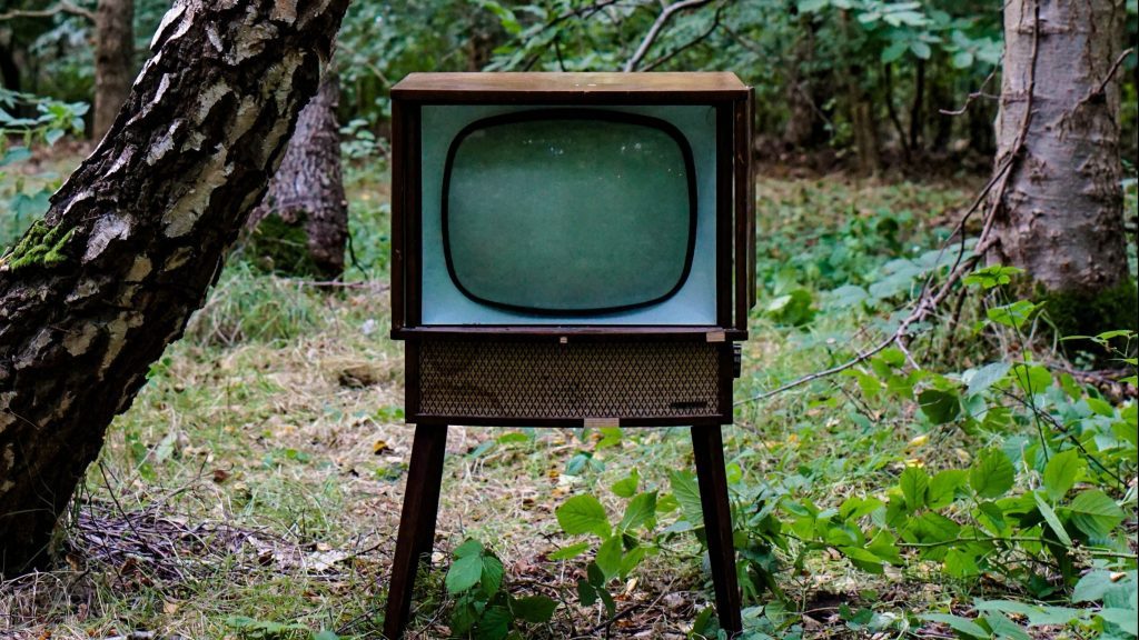 a tv in the woods
