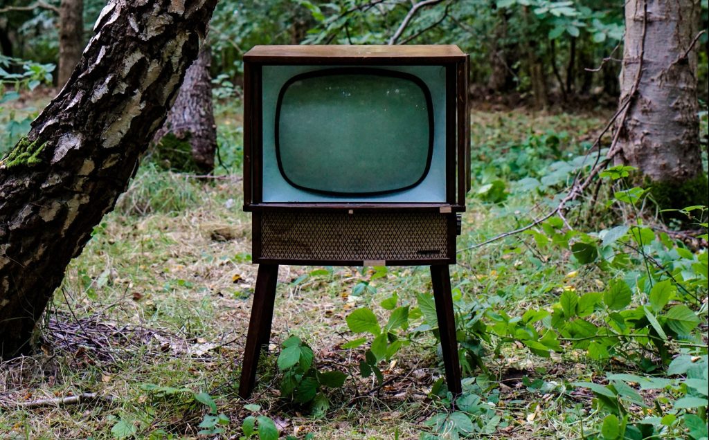 Television in woods