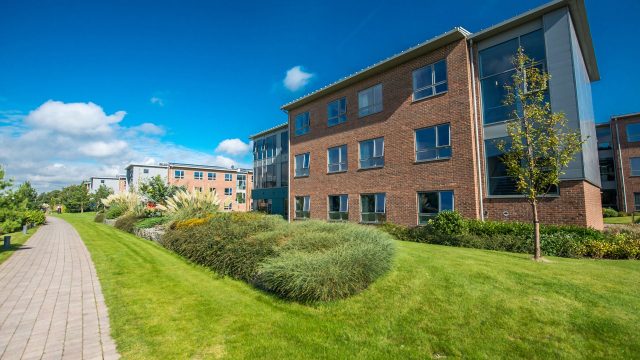 An image of some of the accommodation blocks at Edge Hill university. It is daytime and there are various types of greenery in the foreground of the image.