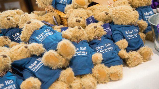 This image contains multiple small bears, all are wearing a blue jumper that has white text that says "Edge Hill University"