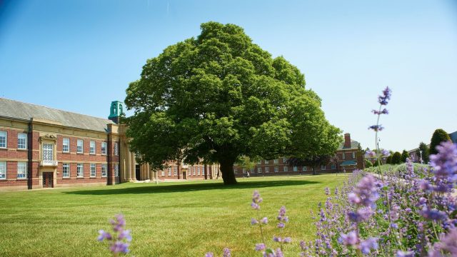 An image of a tree outside of the main building at Edge Hill university. In the background of the image the main building is visible. The image is set in the day. 