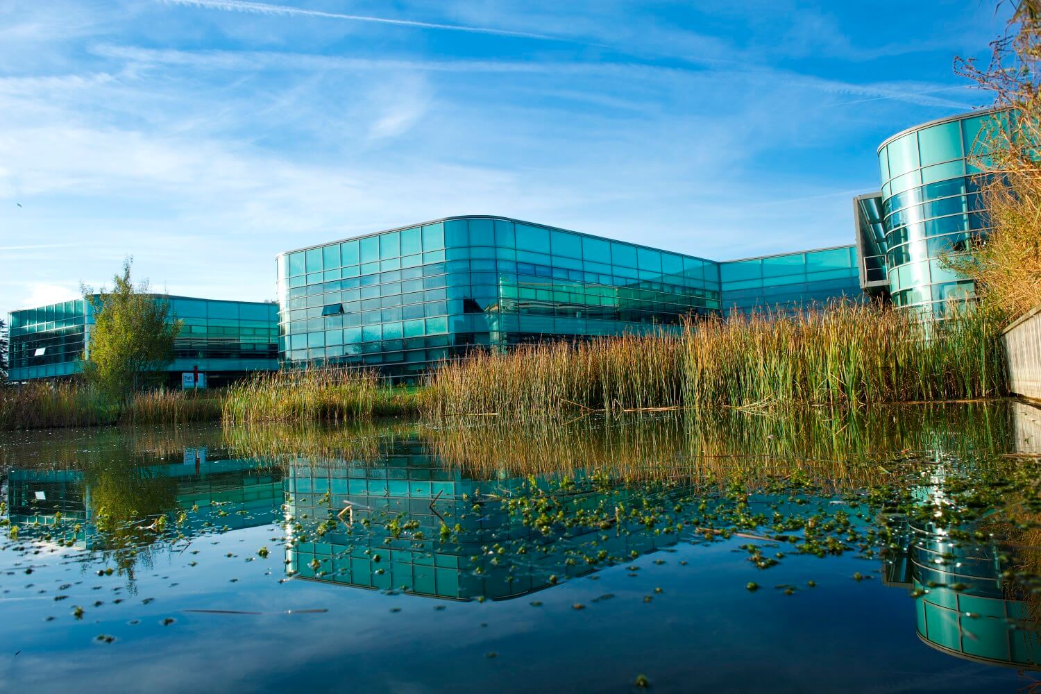 Faculty of Health, Social Care and Medicine