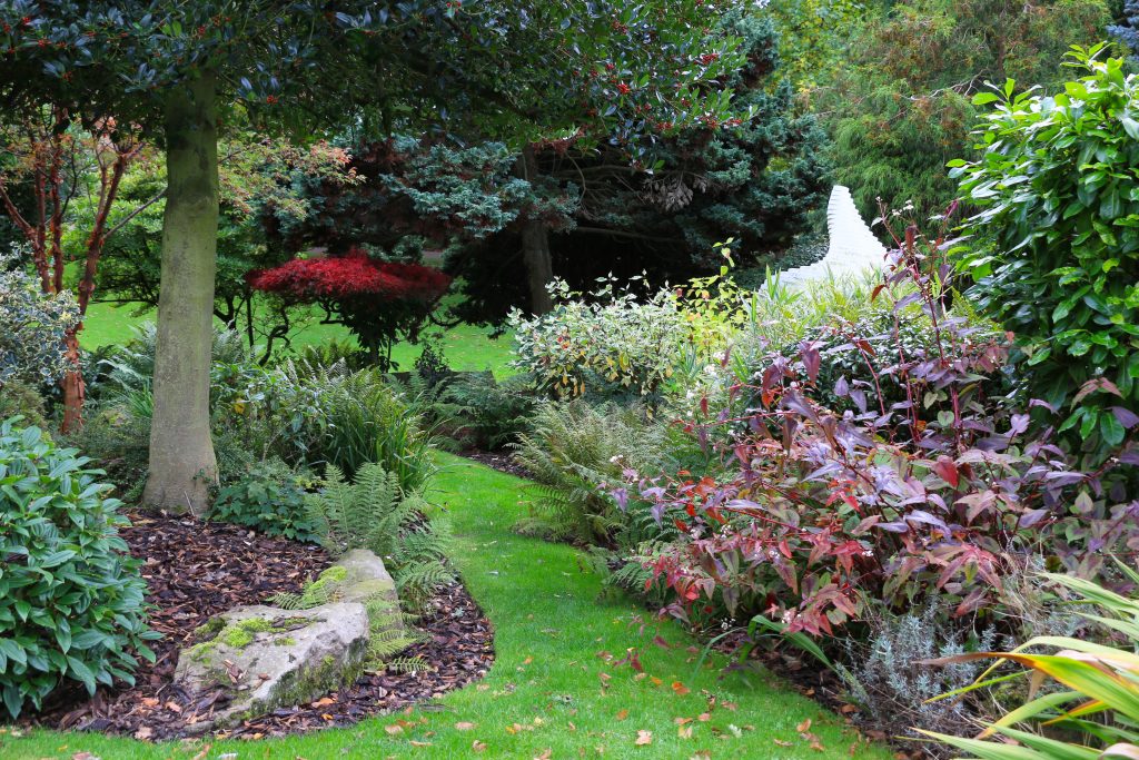 Colourful shrubs in the rock garden