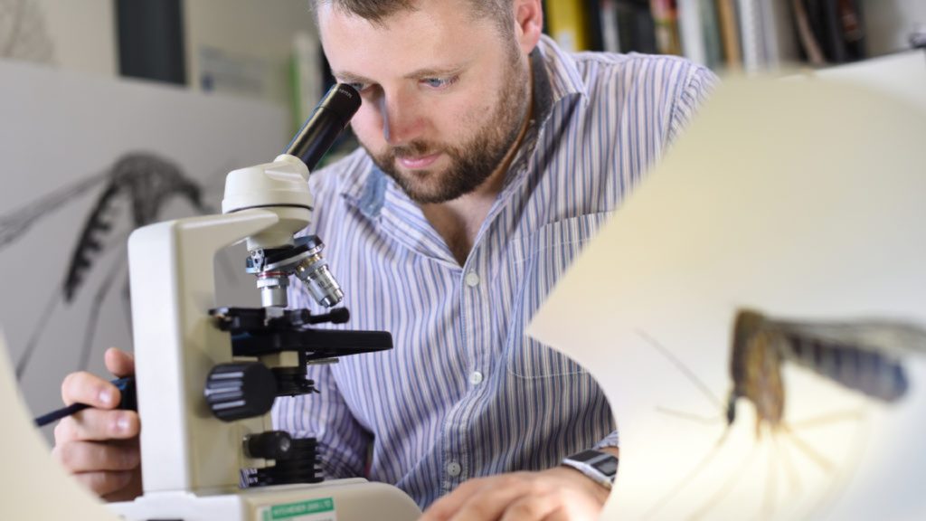 An image of Dr Thom Dallimore looking into a microscope.