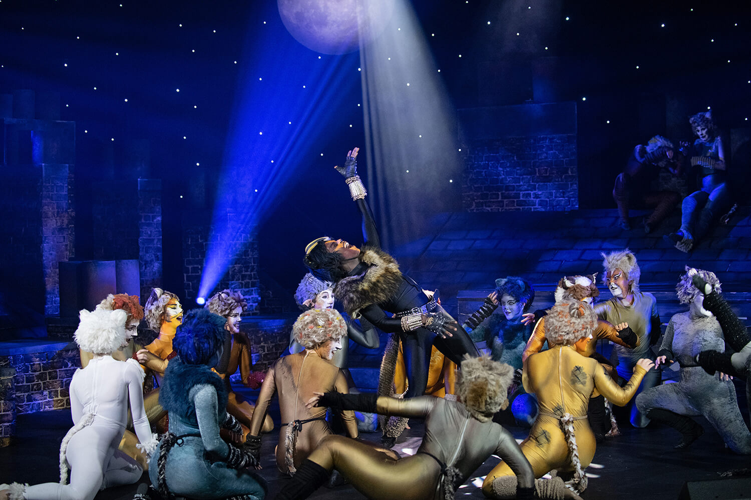 Students perform in a semi-professional production of Cats at Altrincham's Garrick Playhouse..