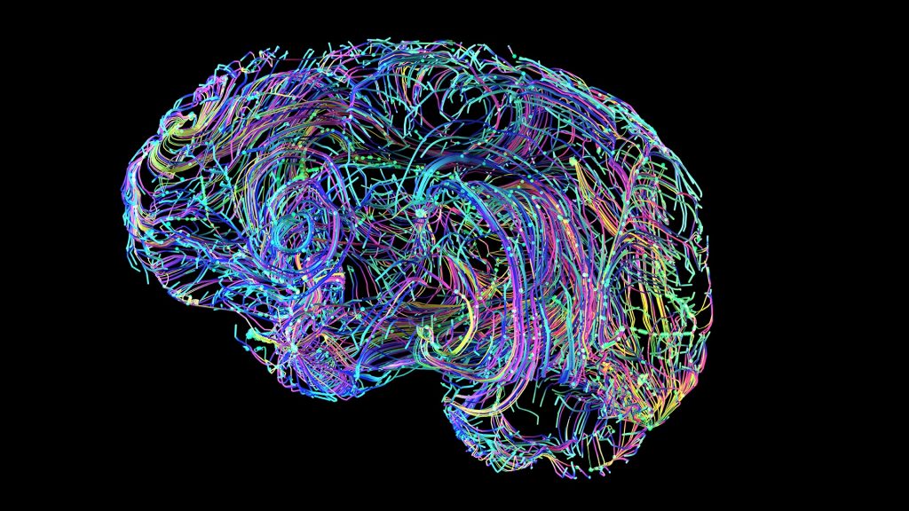 An image of an illustrated multi-coloured brain.