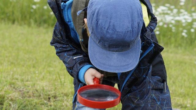 An image of a child using a large red magnifying glass to look at something on the ground.