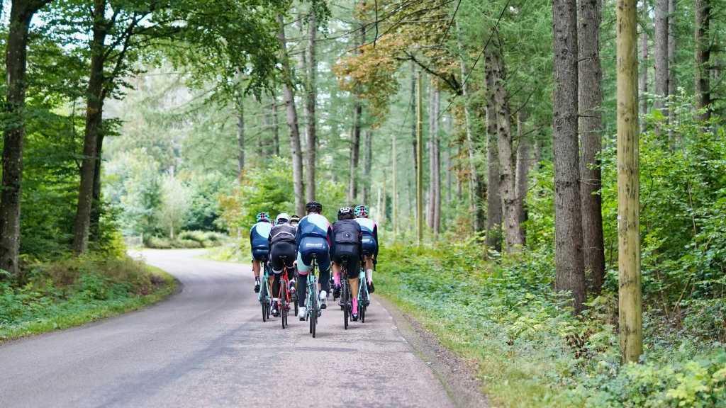 Cyclists travelling down a forest road in a group