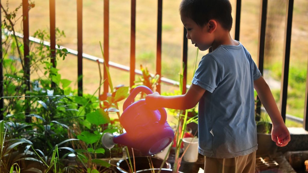 A child is watering a set of plants