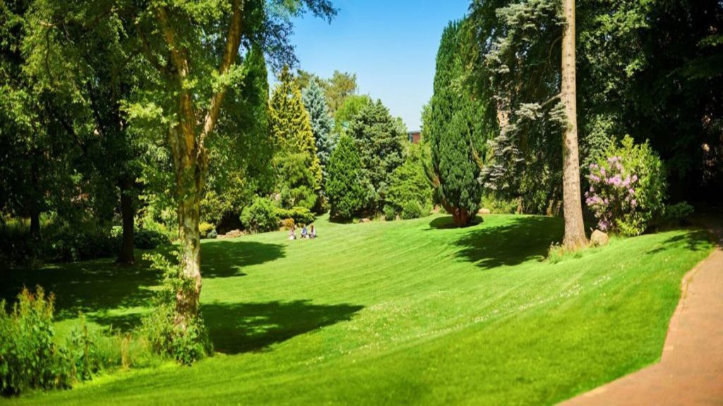 A picture of a field on Edge Hill's campus
