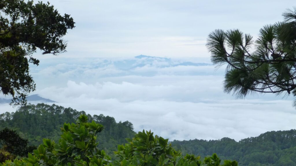 Ariel shot of Honduras landscape.