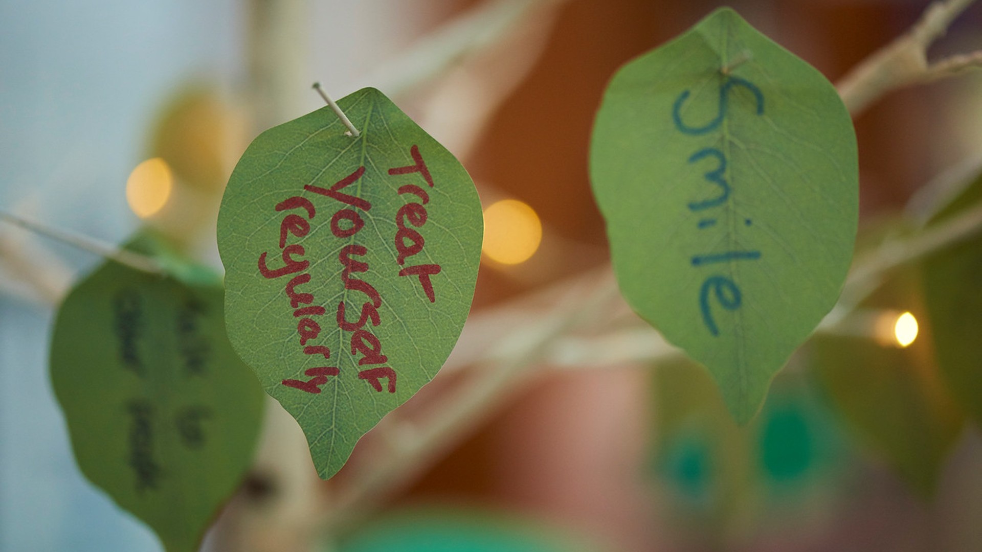 Eight to feel great: Top tips from Edge Hill experts to manage your mental health