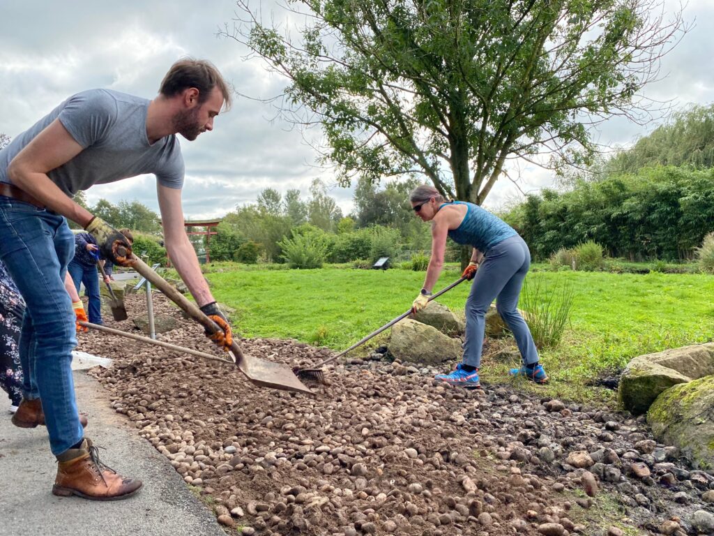 A picture of two people digging using shovels.