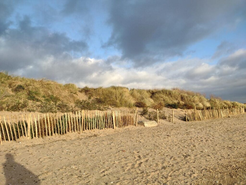 A picture of the Fylde Sand Dunes.
