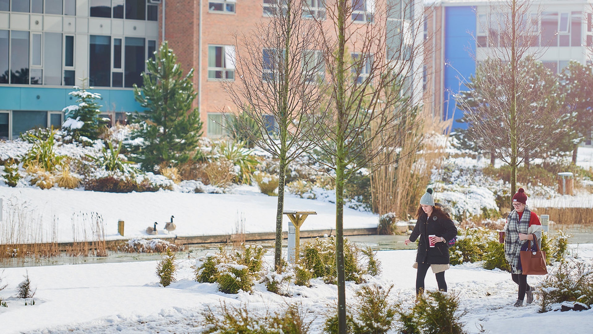 Students walking through our snowy campus. They are wearing wooly hats and winter coats. There are Canada geese across the other side of the lake in the distance.