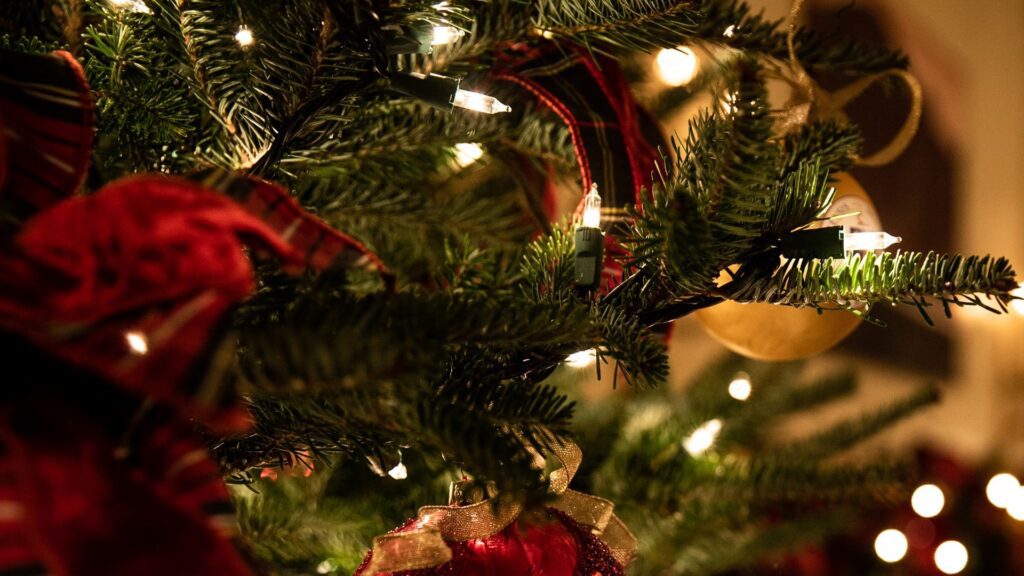 Close up of decorations on a Christmas tree. It shows red velvet ribbons, gold baubles, and glowing fairy lights.