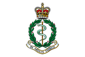 Army Medical Services 208 Field Hospital