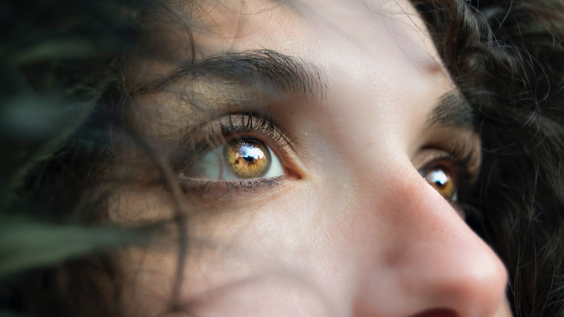 Close up shot of brown eyes