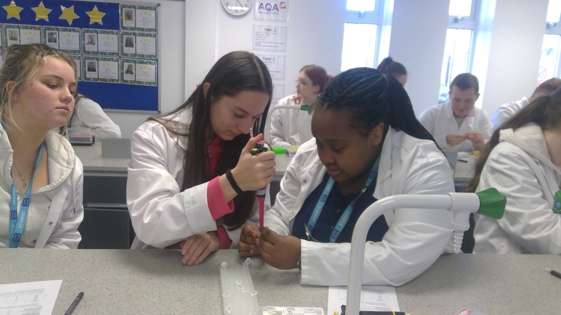 Students doing an experiment in a genetics lab.