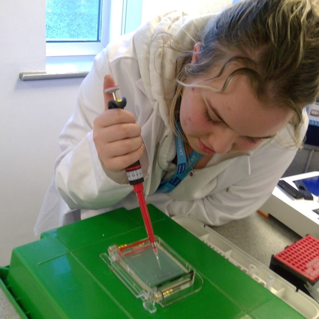 A picture of a student conducting an experiment.
