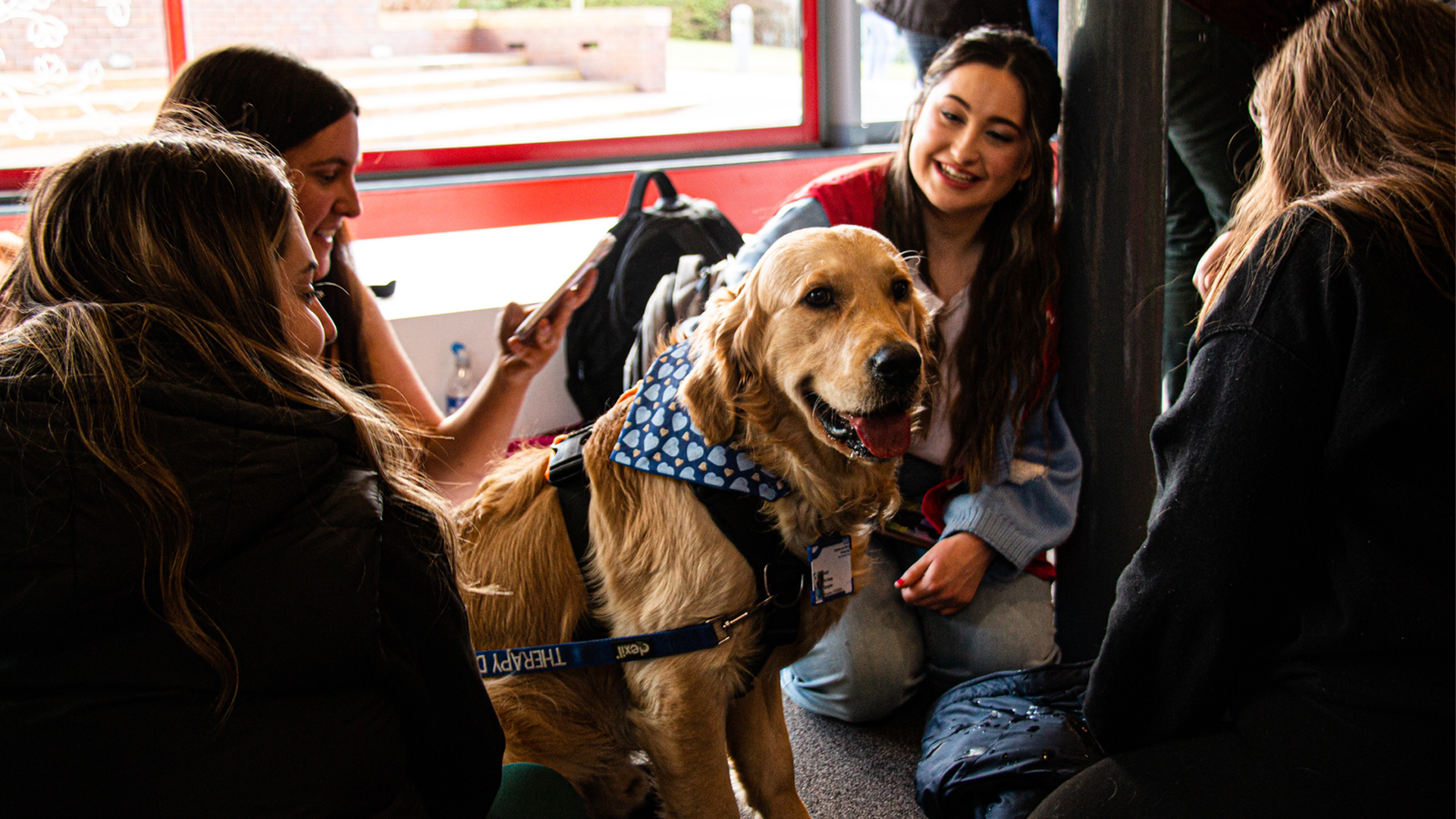 A group of students pet a therapy dog