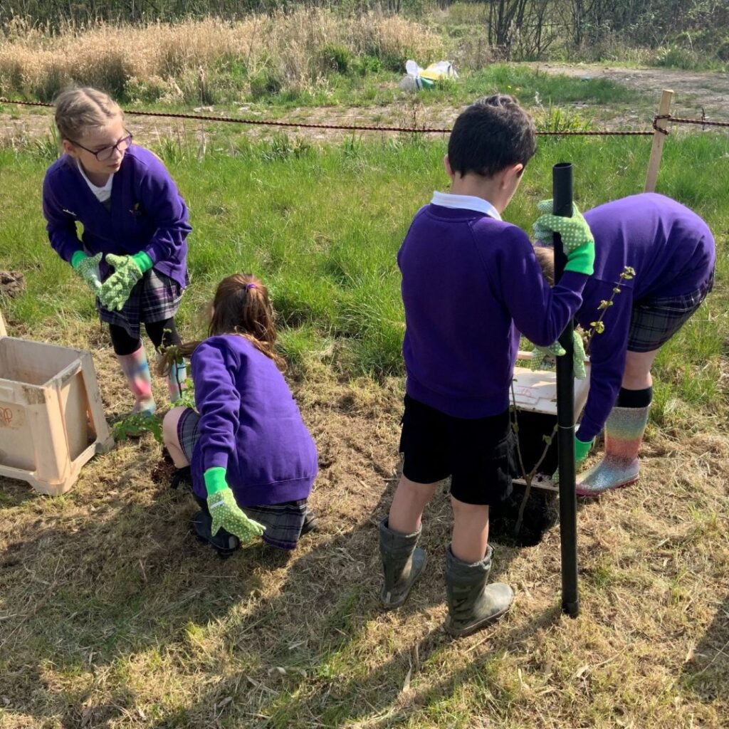 A picture of children planting trees.