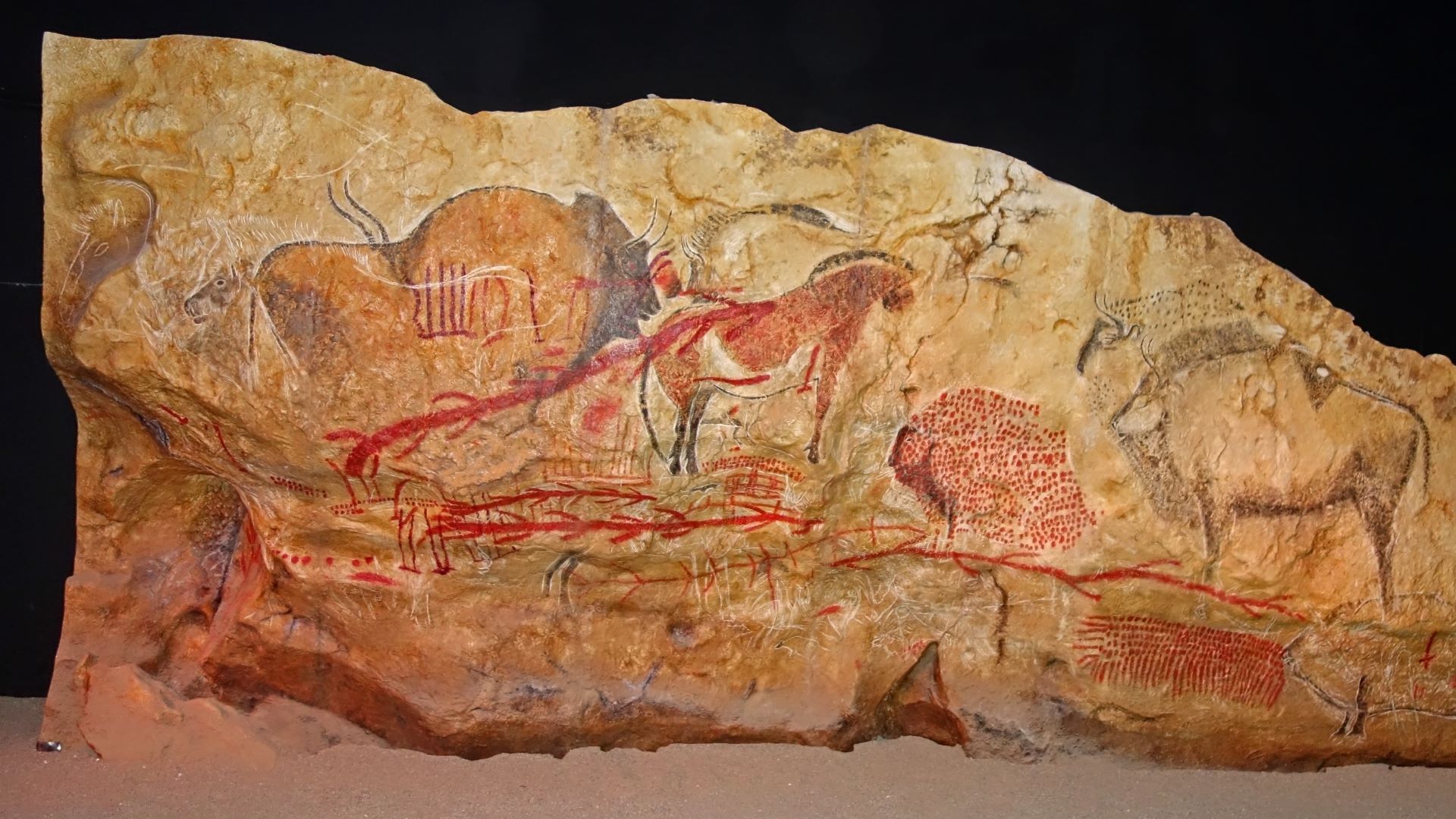 A photo of cave art featuring a variety of animals.
