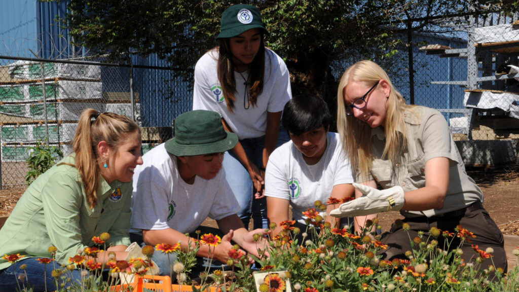Students look at flowers in a local community garden