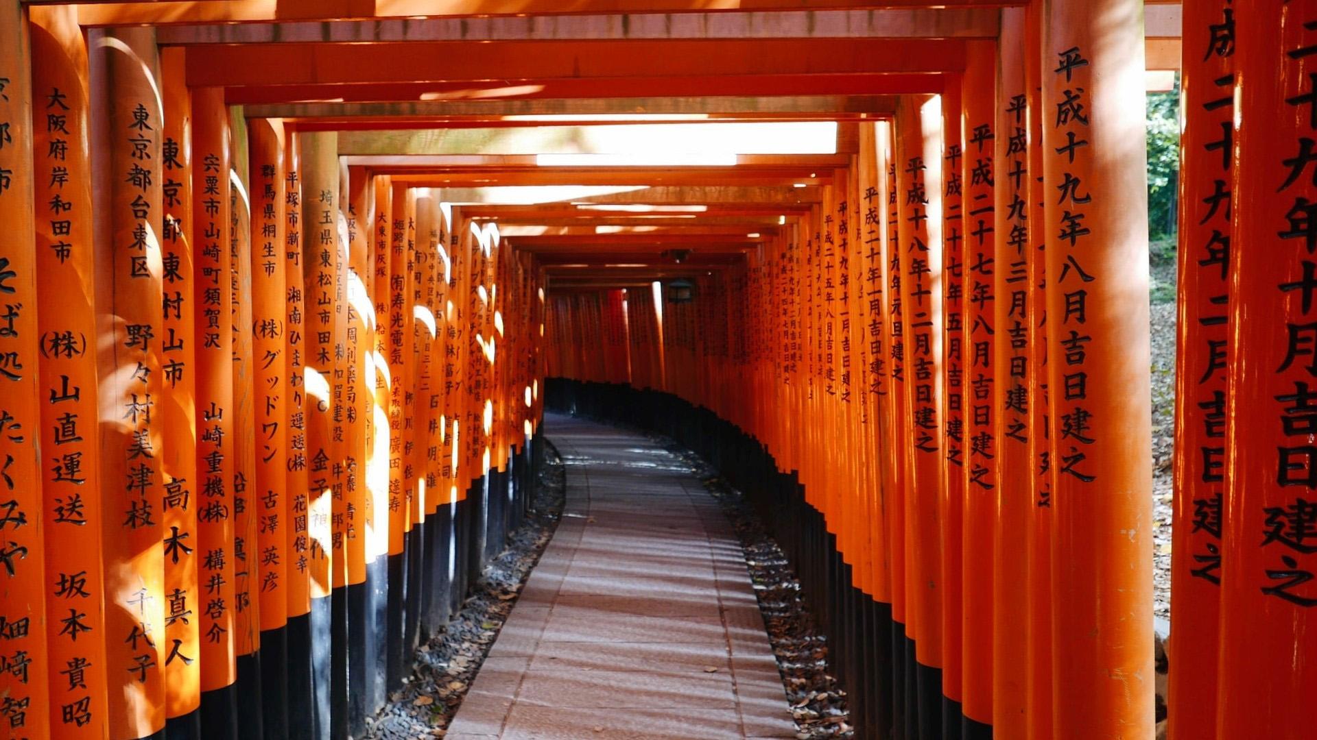 A walking path through the tunnel of the vermillion Torii Gates, located in the Fushimi Inari Shrine in Kyoto.
