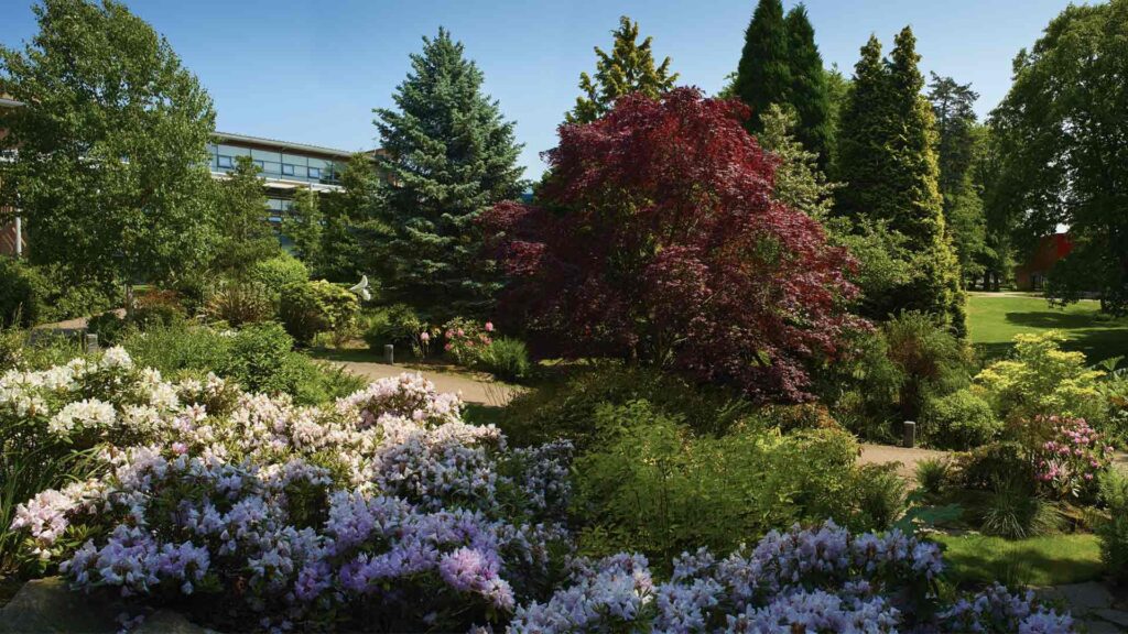 The Rock Garden near Edge Hill's Faculty of Health and The Arts Centre. It shows fir trees, lots of flowers and blue skies.