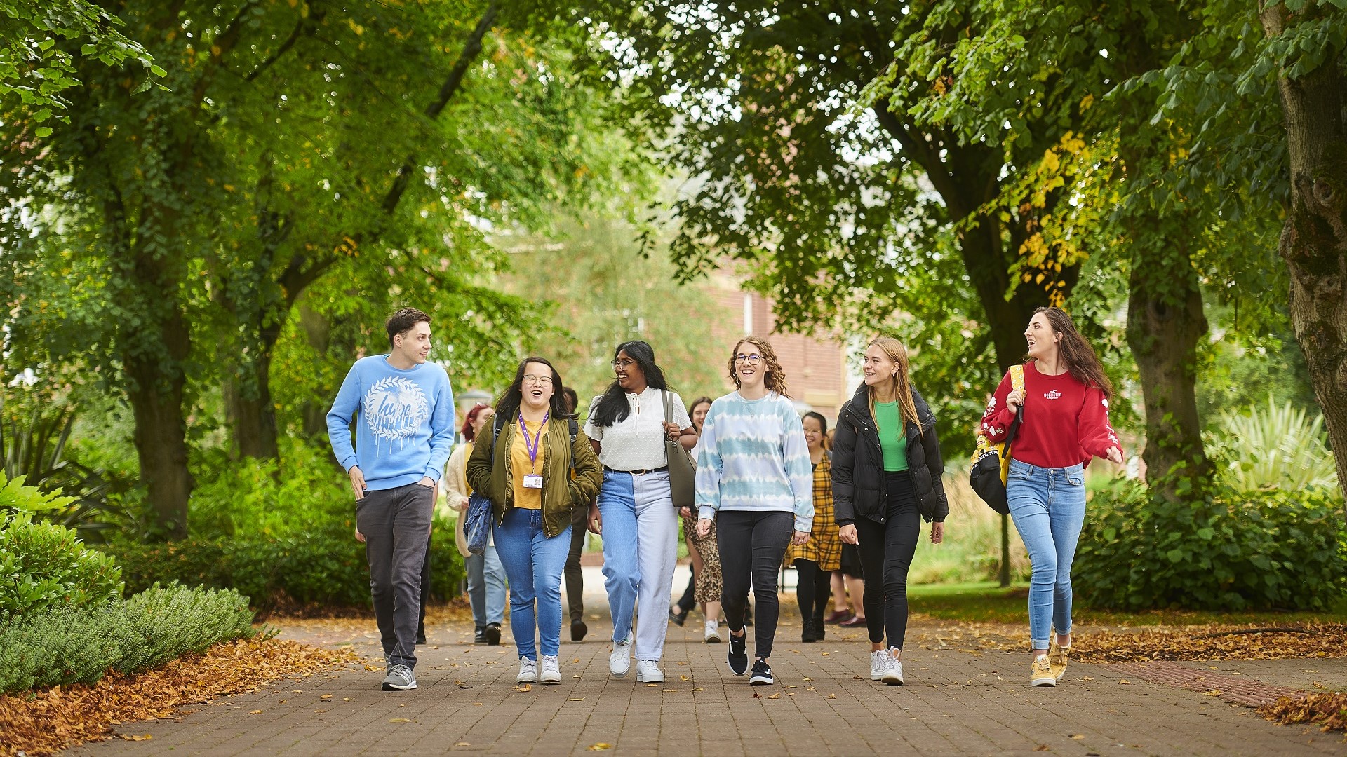 A group of students walk side by side through a green leafy avenue on campus.