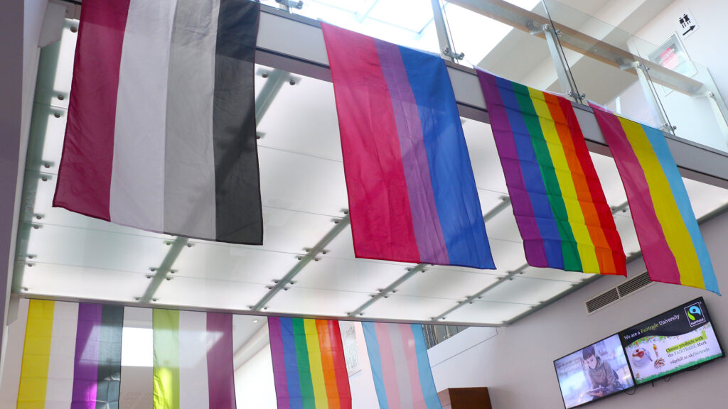pride flags in the hub
