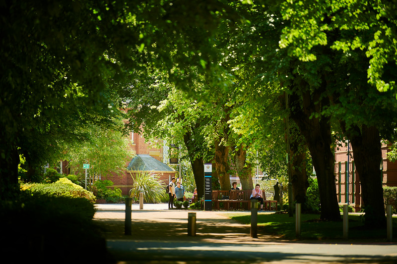 A photo of trees on the campus grounds with students walking to classes in the background. 