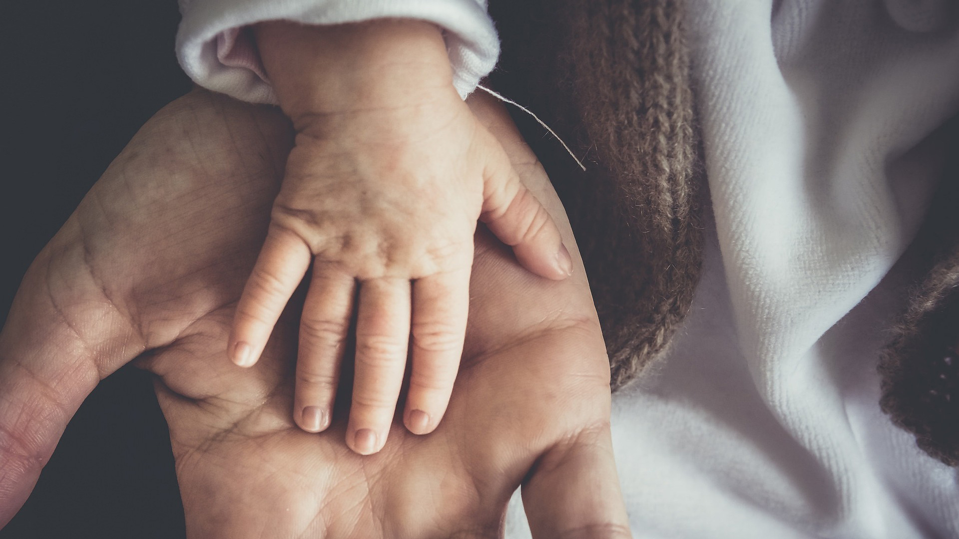 Child and Parents hands together.