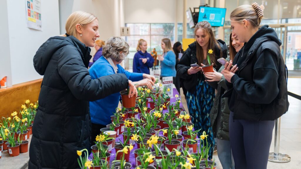 Plants being given away in The Hub