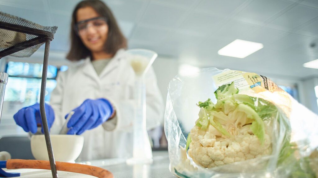 A Nutrition student conducting research in the food science laboratory in the Faculty of Health, Social Care and Medicine